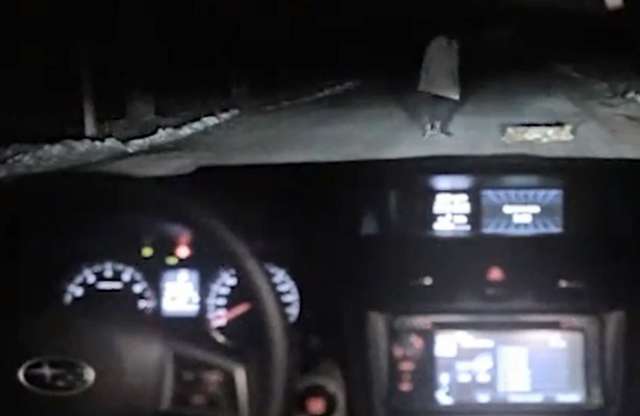 Fedélzeti kamerás felvétel: elviszi a kutya a Subarut