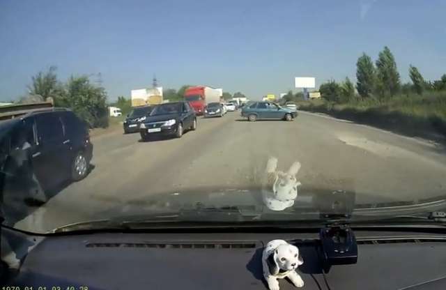 Videó: a szuicid hajlamú samarás visszafordul az országúton