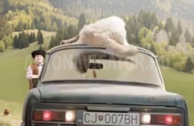 Remek reklám: a szlovák Coop tudja, mitől döglik a légy