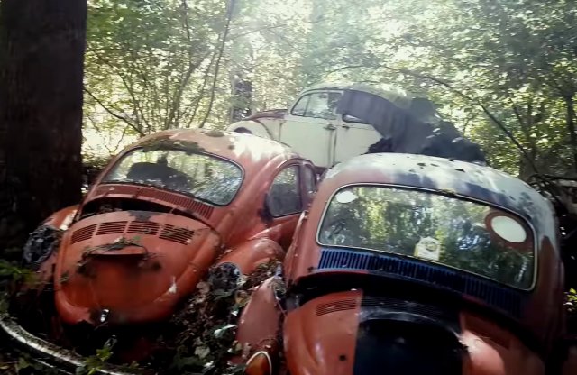 Egy belga erdőben pusztul rengeteg Volkswagen a 70-es évekből