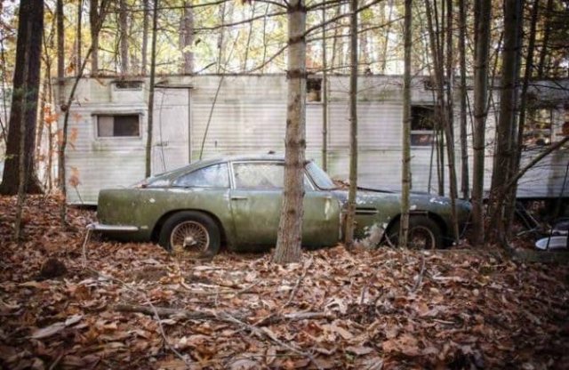 Ritka Aston Martin DB4-et találtak elhagyva egy erdőben