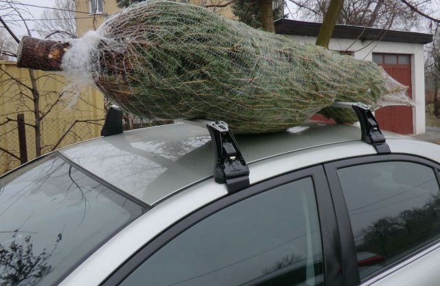 5 pont karácsonyfa-szállításhoz