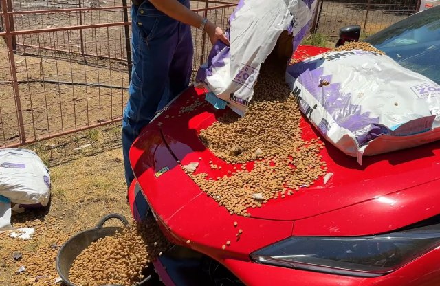 Pickupként kezeli a Ferrariját WhistlinDiesel, ezzel is fricskát mutatva a gyártónak